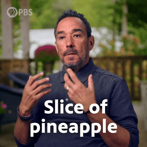 Season 3 Pineapple GIF by PBS