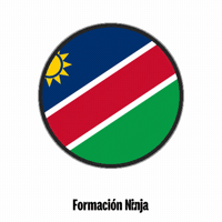 Flag Bandera GIF by Formación Ninja