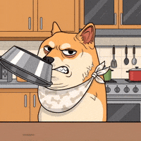 Angry Shiba Inu GIF by Doge Pound
