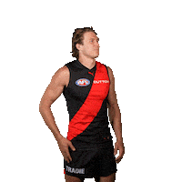 Football Sport Sticker by Essendon FC
