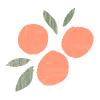 louisegouet orange fruit peach clementine Sticker