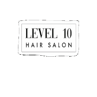 Logo Salon Sticker by Level10hairsalon