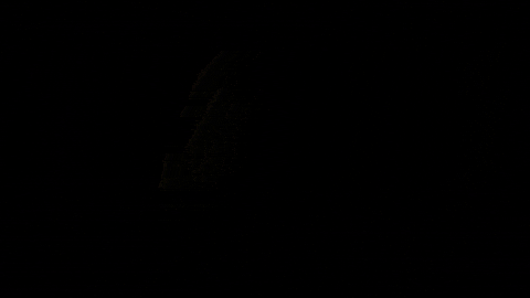 Whitney Houston Hologram GIF by Primary Wave