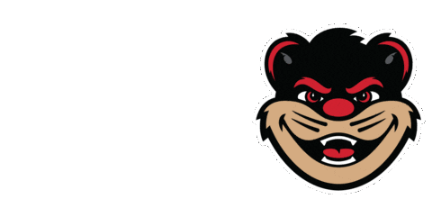 Cincinnati Bearcats Sticker by uofcincyalumni