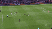 soccer cologne GIF by 1. FC Köln