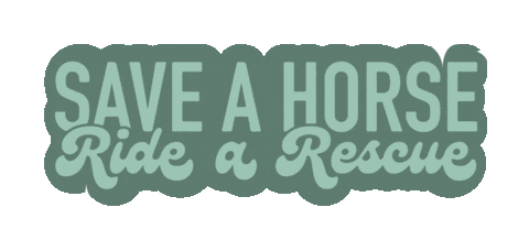Save A Horse Sticker