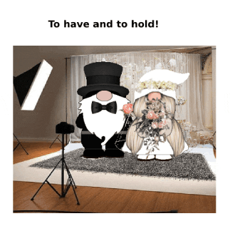 Wedding Bride GIF
