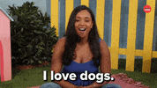Dog Day GIF by BuzzFeed