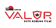 Valor Sticker by LLumar Cam Filmli