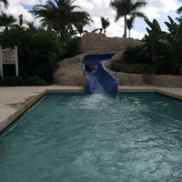 GIF by Richard Childress Racing