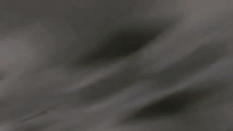 GIF by Winners Circle