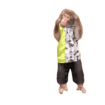 Fun Monkey Sticker