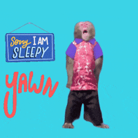 Sleepy Fun GIF