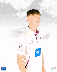 Wpa Vertu GIF by Somerset County Cricket Club