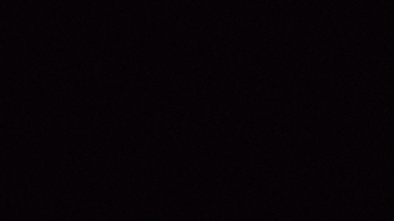 MatthewHenryDesign orion alan partridge Partridge bollocks GIF