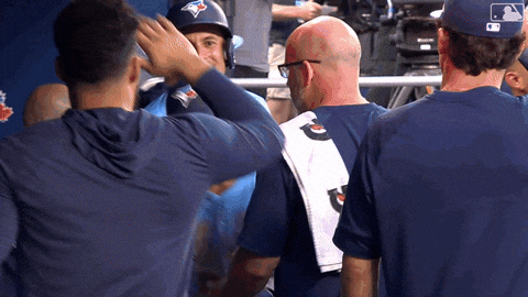 Blue Jays Baseball GIF by Toronto Blue Jays