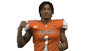 Nfl Preseason Thumbs Up Sticker by Carson-Newman Athletics