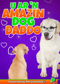 PetJuvenate petjuvenate henlo hooman fren love rescue dogs treatos and woofer for pupper GIF