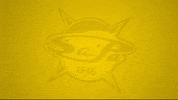 Saipa 20-21 GIF by WhiteWhale