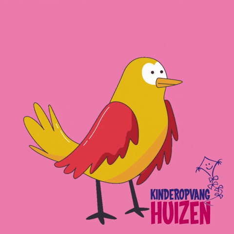 Koh GIF by Kinderopvang Huizen