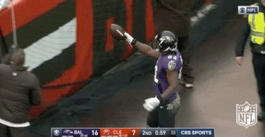 Baltimore Ravens Football GIF by NFL