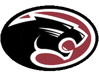 Panthers Cfhs Sticker by BRG The DeForrest Team