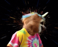 Good Morning Omg GIF by Sogni AI