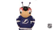 Ice Hockey Reaction GIF by NHL
