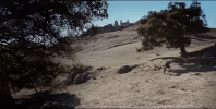 music video guy GIF by Lady Gaga
