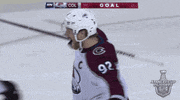 happy 2019 stanley cup playoffs GIF by NHL