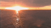 Up In The Air GIF by Rainsford
