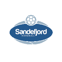 Rema1000Ligaen Sticker by Norsk Topphåndball