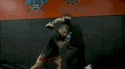 ufc sports sport ufc mma GIF