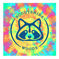 Girl Scouts Camp Sticker by Girl Scouts of Southern Alabama