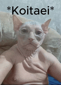 Greece Greek GIF