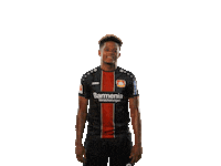 soccer heart Sticker by Bayer 04 Leverkusen
