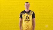 Borussia Dortmund Applause GIF by Bundesliga