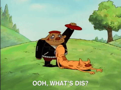 nicksplat GIF