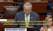 news chuck schumer whistleblower GIF
