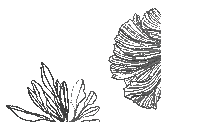 loopbody activewear in the loop loop activewear a new movement Sticker