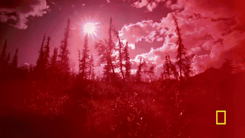 life below zero GIF by National Geographic Channel
