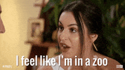 Mafs Zoo GIF by Married At First Sight Australia