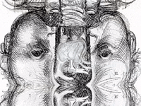 upside down love GIF by Alex Boya