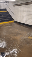 Water Bursts Through Subway Station Walls Amid NYC Flash Flooding