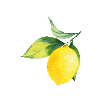 wineandsomething yellow wine fruit lemon Sticker