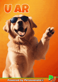 PetJuvenate petjuvenate henlo hooman fren love rescue dogs treatos and woofer for pupper GIF