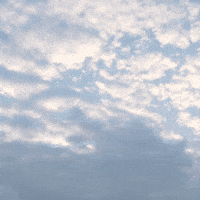 Flying Come Fly With Me GIF by TeaCosyFolk