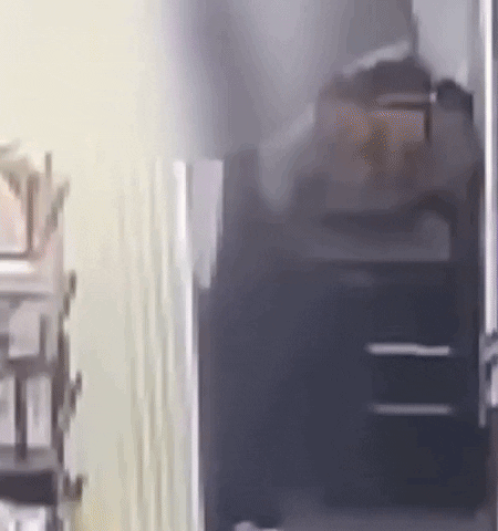 0d0e9c040cdb4b378f8218152e9c7143 giphyupload GIF