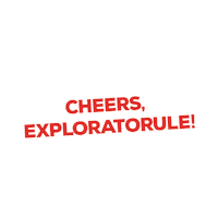 Beer Sticker by URSUS ROMANIA