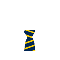 Wilkesblueandgold Sticker by Wilkes University